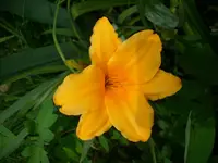 DSCI1497.webp