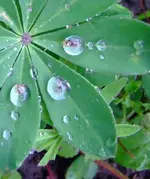 11.webp