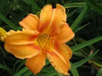 Bild unbekannt2_1067x800.webp