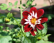 IMG_2979 - Kopie.webp