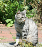 IMG_2994 - Kopie.webp