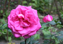IMG_3011 - Kopie.webp