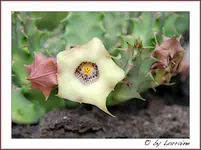 IMG_8994-10072011 (1 von 1).webp