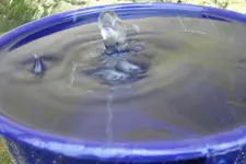 2011 07 11 217.webp