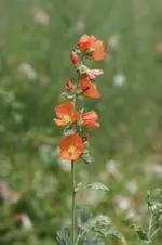 DSC09198.webp