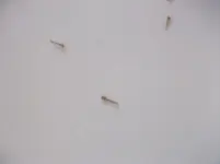 DSCF1014[1].webp