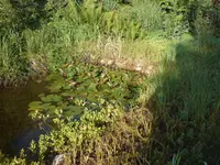 DSC00002.webp