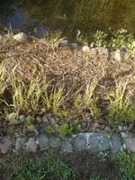 DSC00003.webp