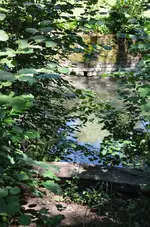 DSC_0168.webp
