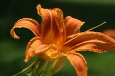 DSC07539.webp