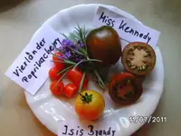 BILD0001.webp
