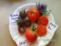 BILD0002.webp