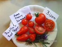 BILD0003.webp