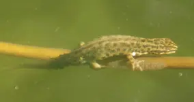 DSC05468.webp