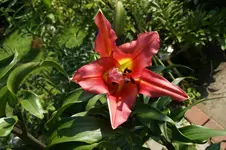 DSC05678.webp