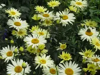 Bild 329_1067x800.webp