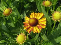 IMG_5171_1067x800.webp