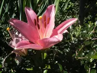 BILD0703.webp