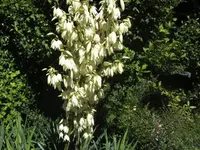 BILD0704.webp