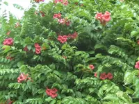 BILD0674.webp