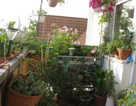 Ansicht (2).webp