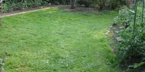 Rasen (4).webp