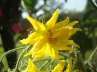 DSC02750.webp