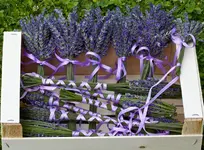 IMG_4017.webp