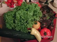 BILD0004.webp