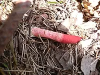 comp_P1040246.webp