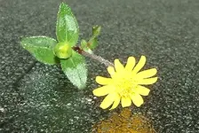 DSCF0022.webp