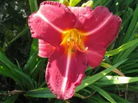 IMG_sierra madre_1067x800.webp