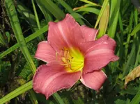 IMG_anja 9_1067x800.webp