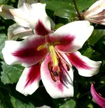 DSC03613.webp