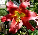 DSC03614.webp