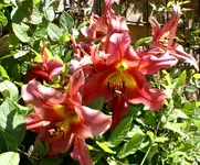 DSC03619.webp