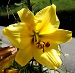 DSC03620.webp