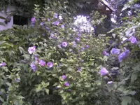 BILD0789.webp