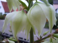 070.webp