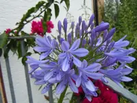 097.webp