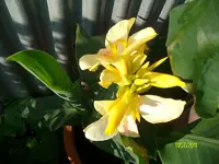 ALIM3248.webp