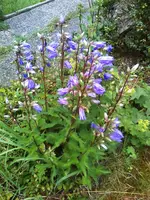 07-07-11_2023.webp