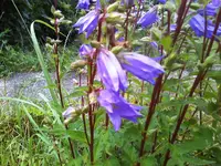 07-07-11_2024.webp