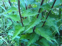 07-07-11_2025.webp
