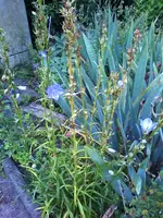07-07-11_2026.webp