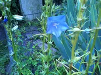 07-07-11_2027.webp