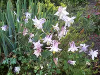 07-07-11_2029.webp