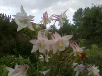 07-07-11_2030.webp