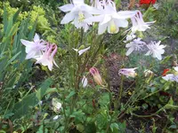 07-07-11_2031.webp