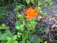 07-07-11_2032.webp